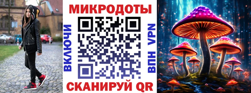 Псилоцибиновые грибы Psilocybe Камень-на-Оби